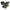 Oil Burner | Burnham 110109-Carlin for MPO84/EMP84